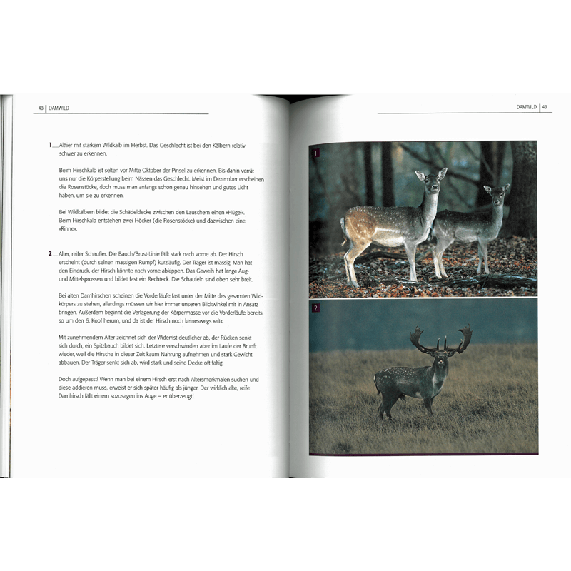 Buch "Jung oder alt? - Schalenwild richtig ansprechen"