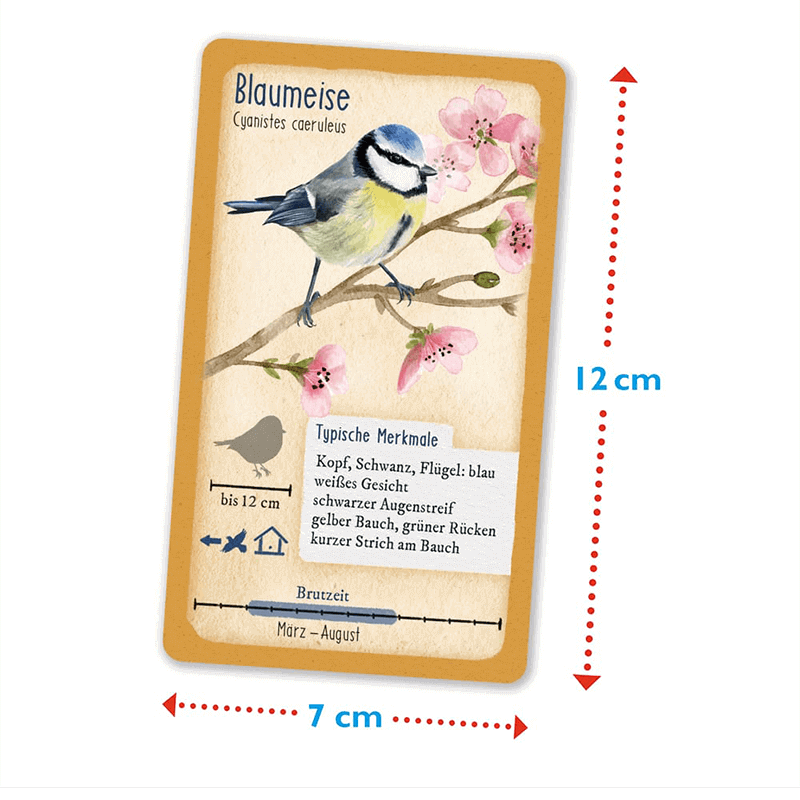 Karten-Spiel "Tour durch die Natur - Heimische Singvögel"