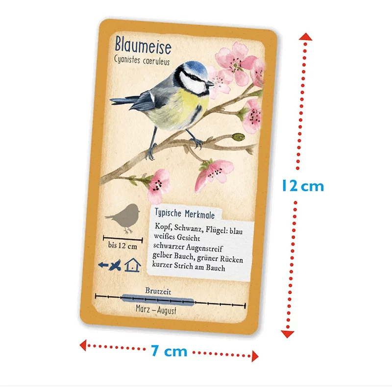 Karten-Spiel "Tour durch die Natur - Heimische Singvögel"
