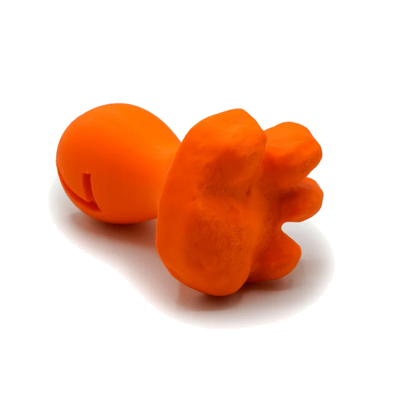 Fährtenstempel Luchs