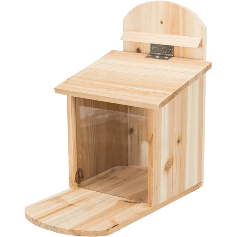 Futterstation für Eichhörnchen