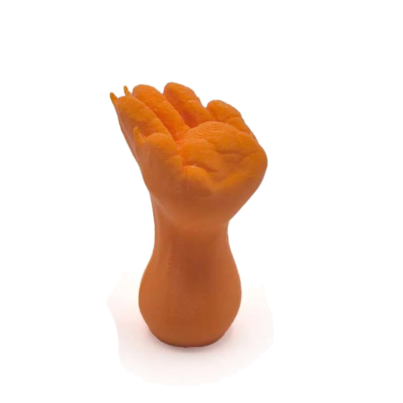 Fährtenstempel Waschbär
