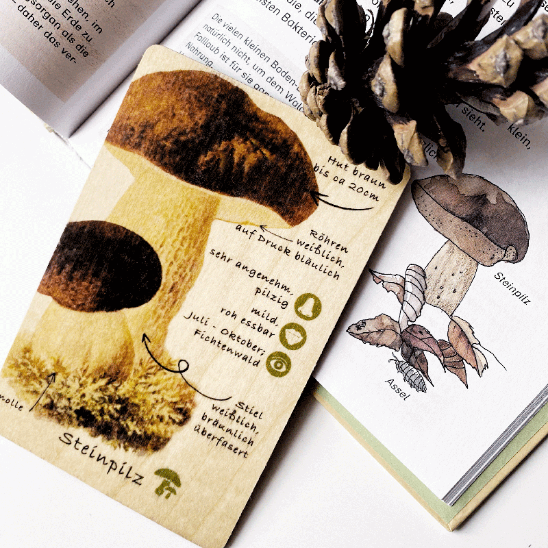 Holzkarten Lernkarten Pilze Set (9 Karten)