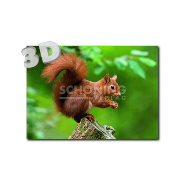 3D-Postkarte Eichhörnchen