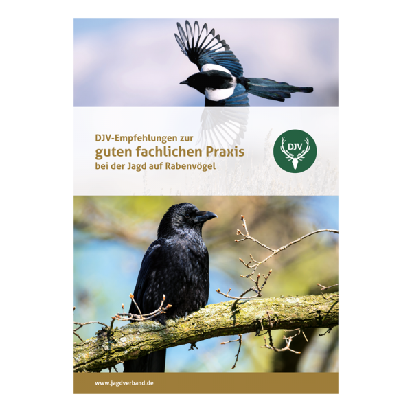 Broschüre "DJV-Empfehlungen zur guten fachlichen Praxis bei der Jagd auf Rabenvögel"