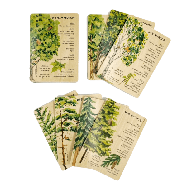 Holzkarten Lernkarten Wald Set (12 Karten)