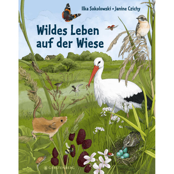 Kinderbuch "Wildes Leben auf der Wiese"