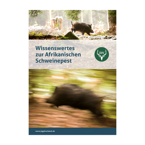 Broschüre "Wissenswertes zur Afrikanischen Schweinepest"